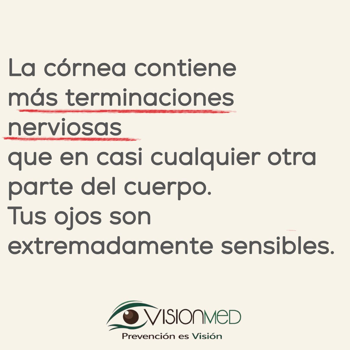 VisionXprt tweet picture