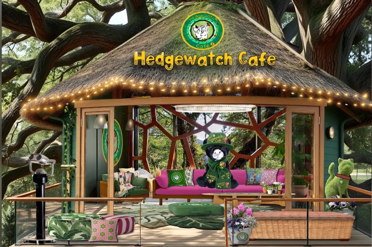 Janet Edgeller tweet media