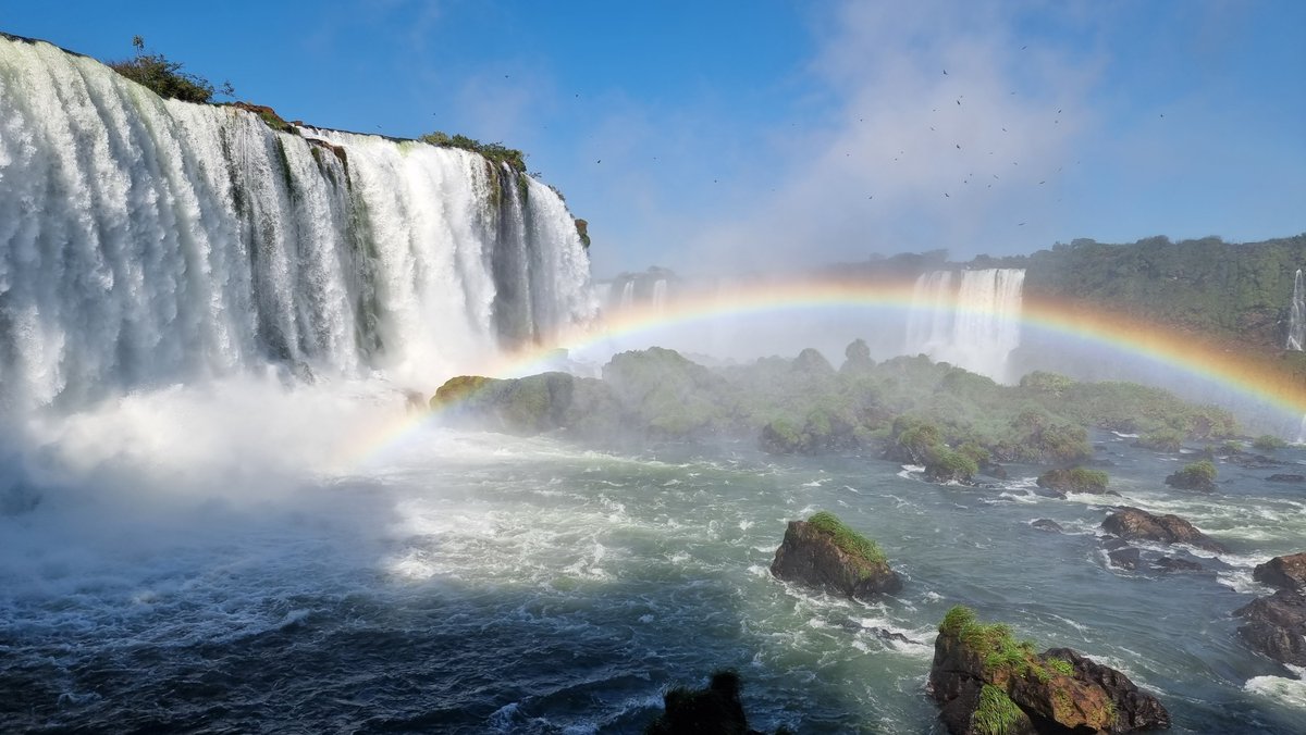 Fut Prime tweet media