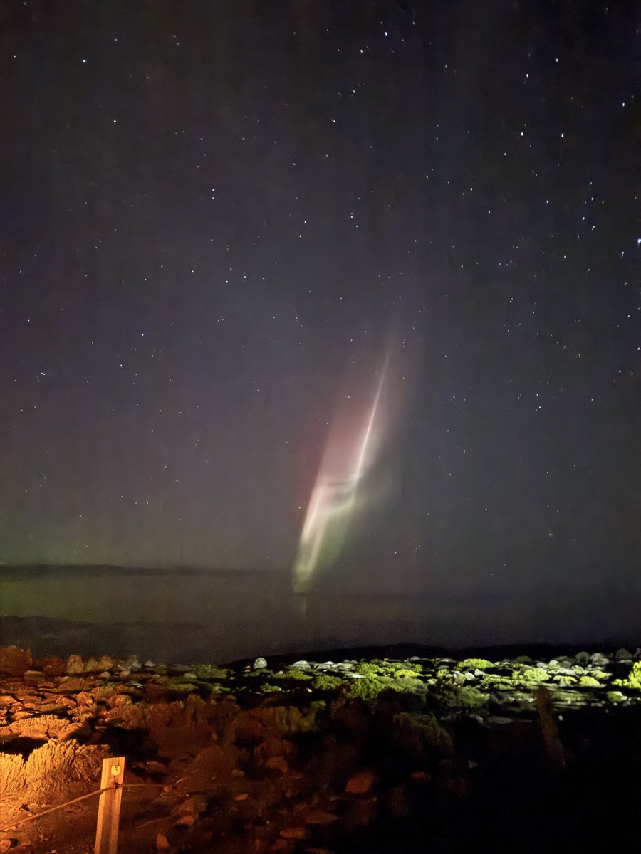 Lisa Bromfield tweet media