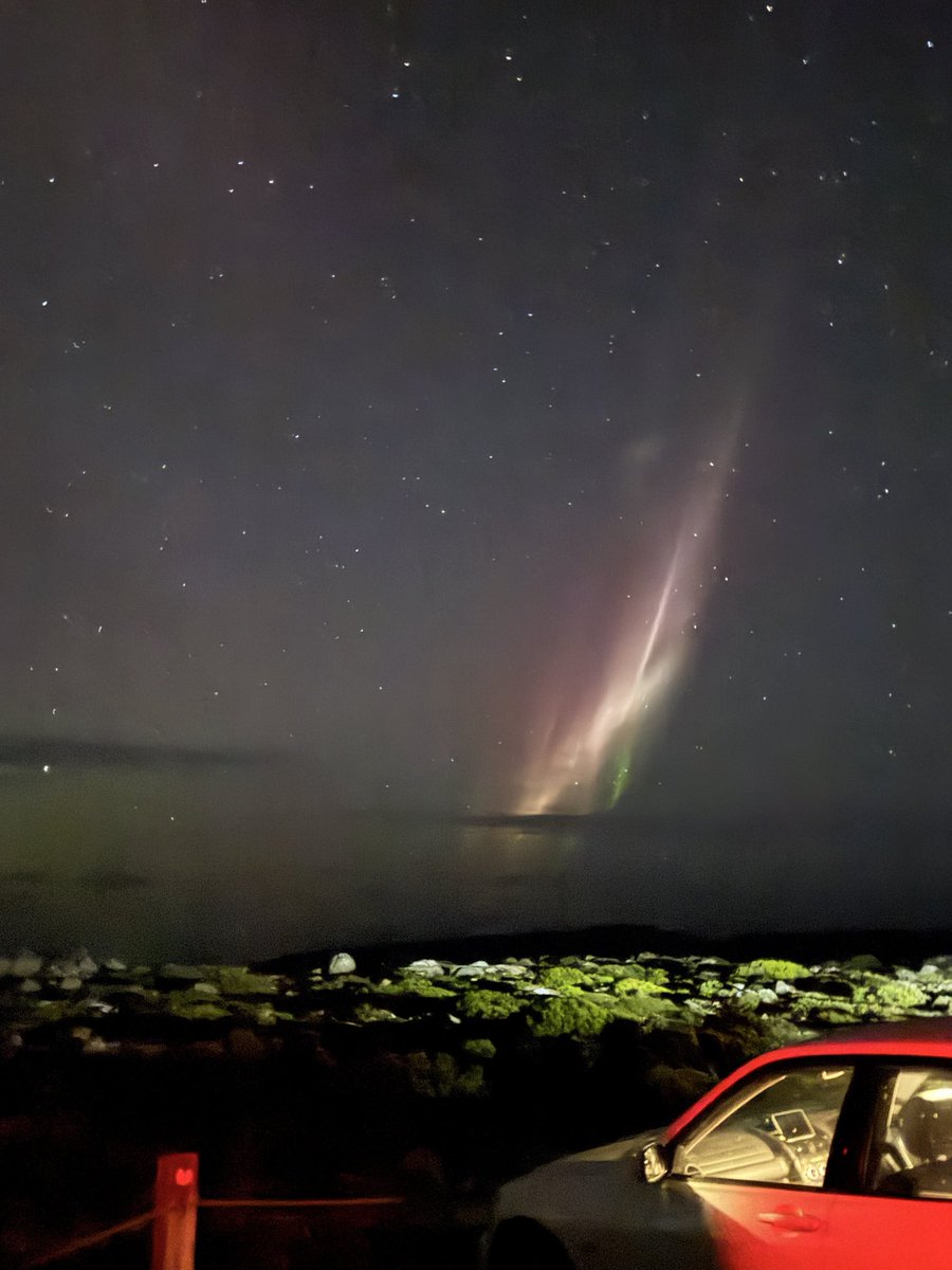 Lisa Bromfield tweet media