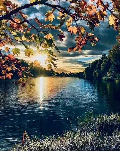 Στραβοξυλο tweet media