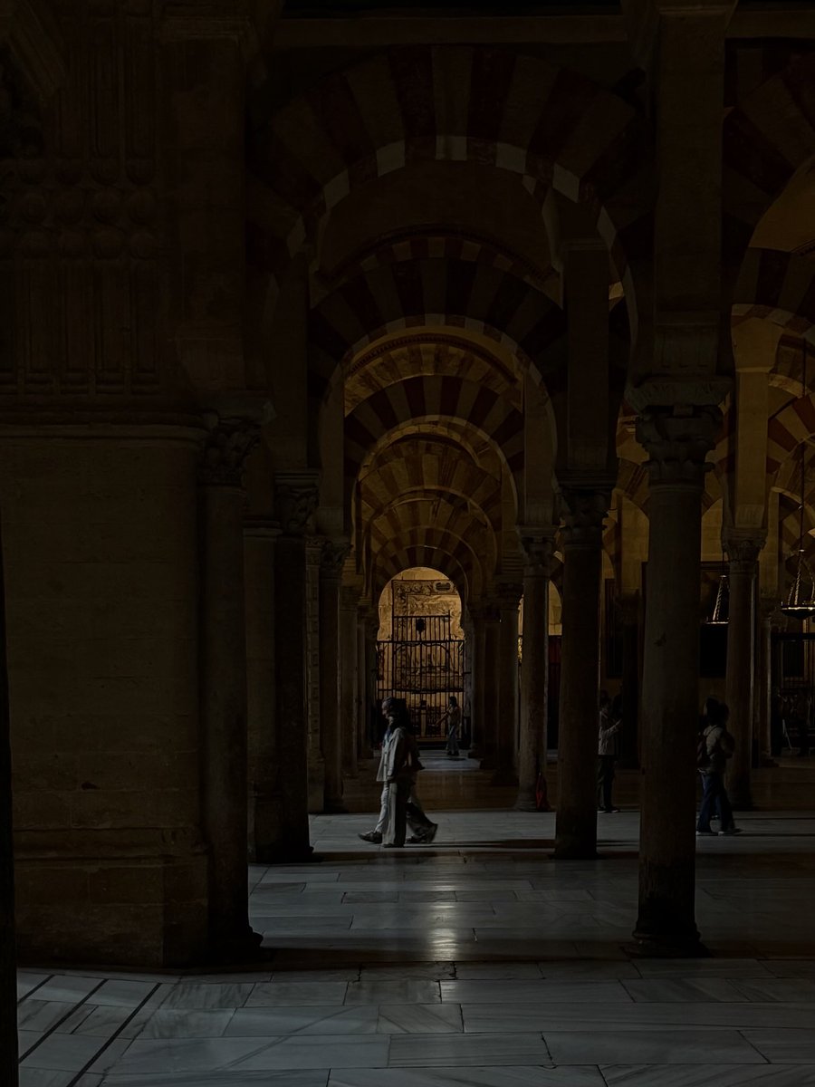 José Miguel tweet media