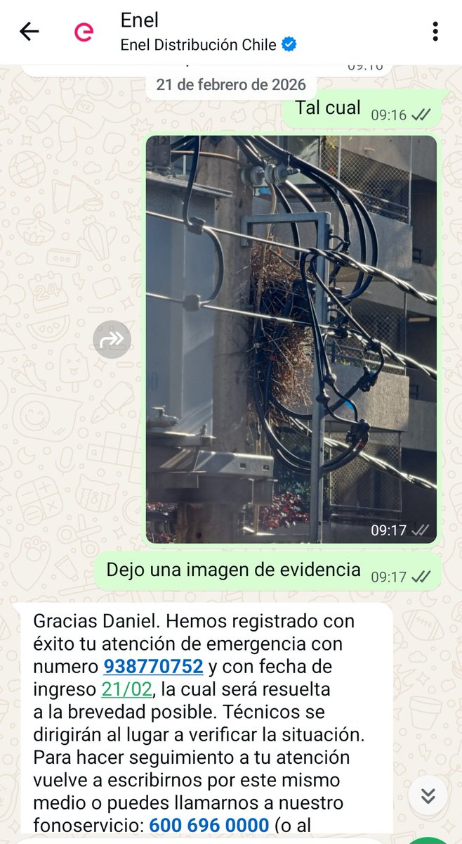 dmunozca's tweet photo. @Enel_Informa_CL el 21 de febrero reporté que había un nido en el transformador frente a mi edificio con riesgo de incendio n° reclamo 938770752. Hoy 22 de marzo, 1 mes después, sin mantención de Enel, se provocó el incendio @SEC_cl @ximerincon @Muni_provi @jaimebellolio https://t.co/FqlYJ1TCO9
