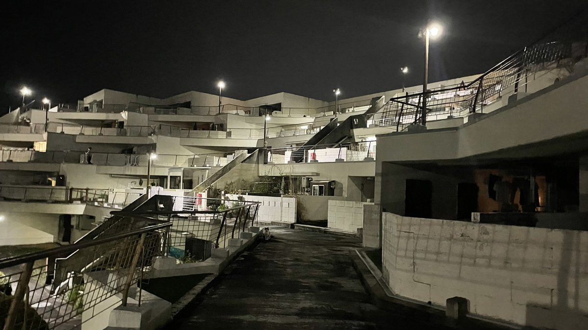 猫教授 tweet media