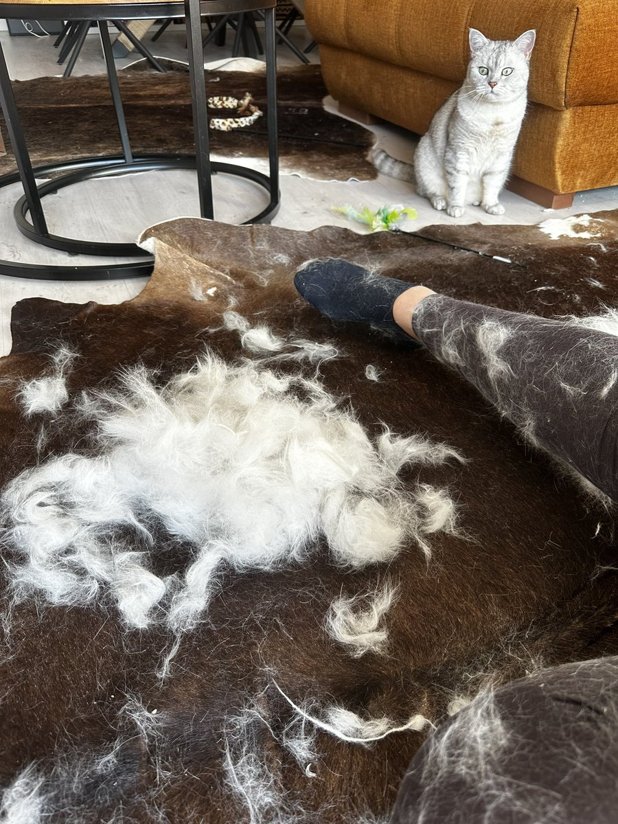 Директор по трансформации ценностей tweet media