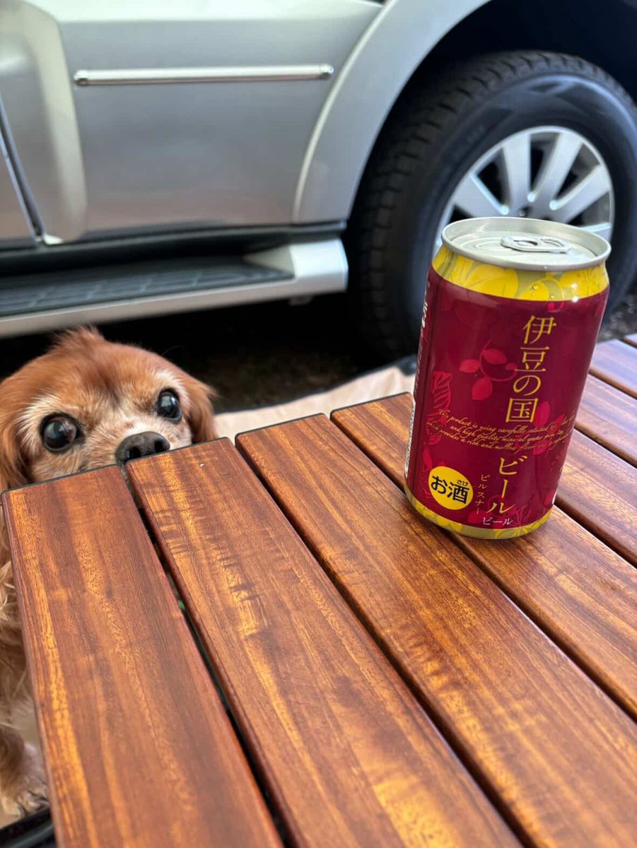 きんぱな(KAϟZU)👬🧍🏼‍♂️👬 tweet media