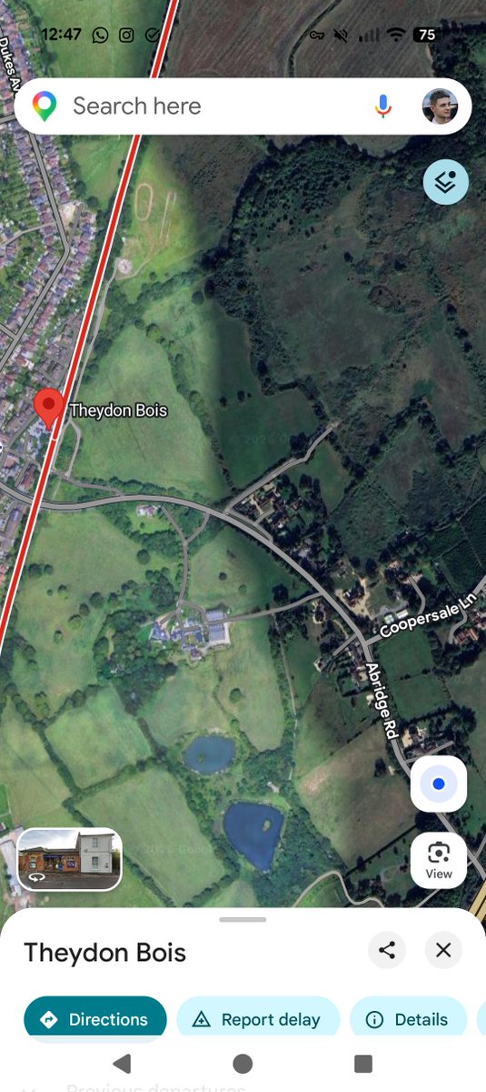 Oscar 🌐 tweet media