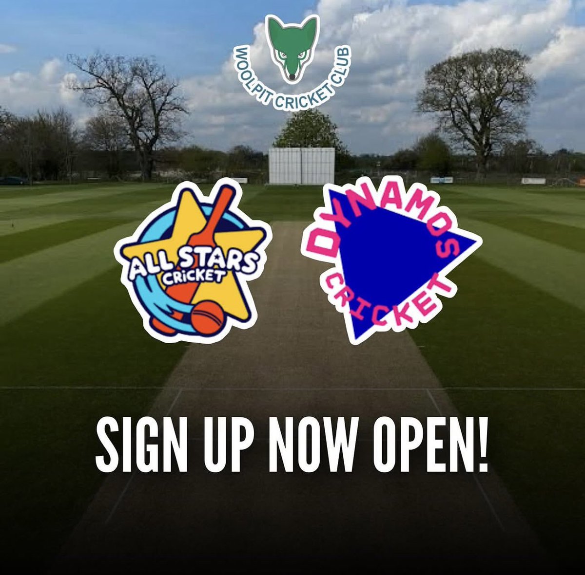 Woolpit CC tweet media