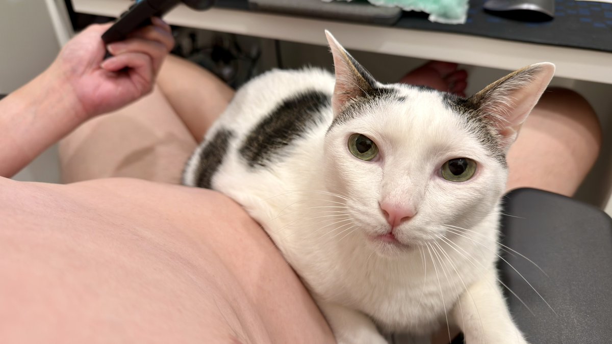 小俊這樣 tweet media