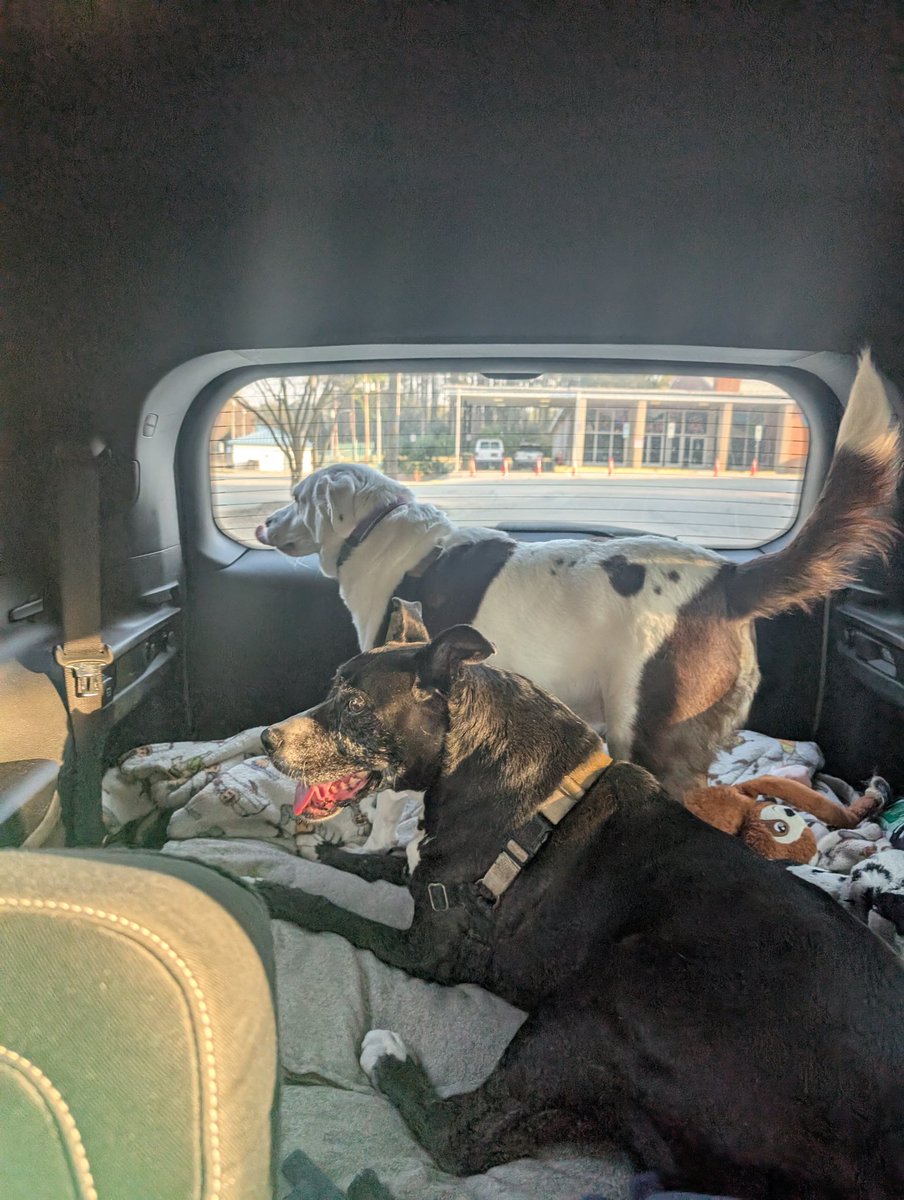 edward perry tweet media