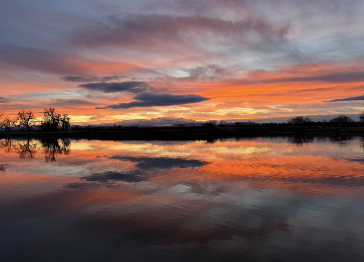 D Miller tweet media