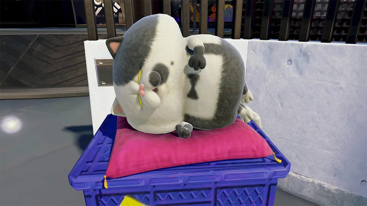 Splat UK tweet media