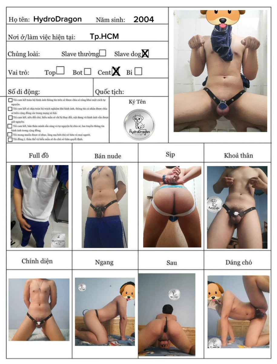 🐕 HydroDragon 🐕 tweet media