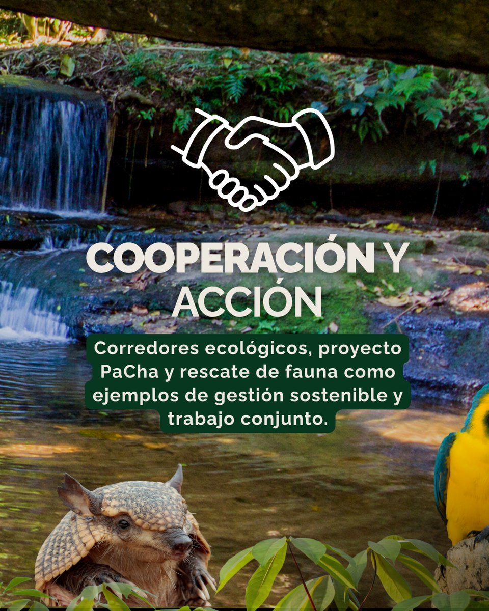 Santiago Peña tweet media