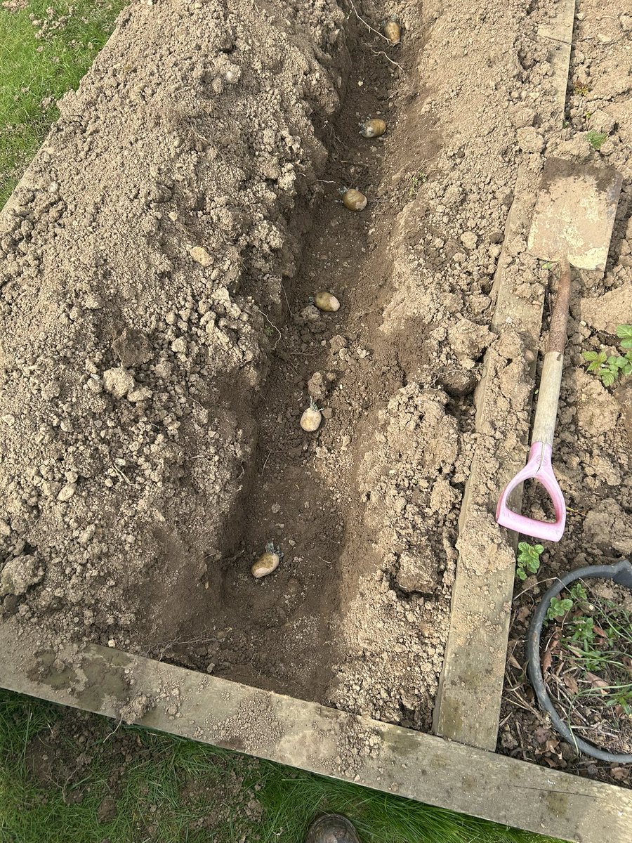 Simon Hales tweet media