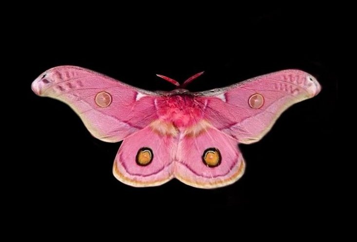 𝒍𝒖𝒏𝒂 tweet media