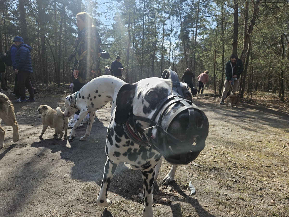 Marcin Józefaciuk tweet media