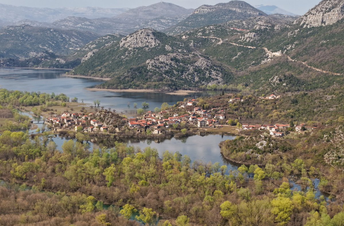 Igor Milic 🇲🇪 tweet media