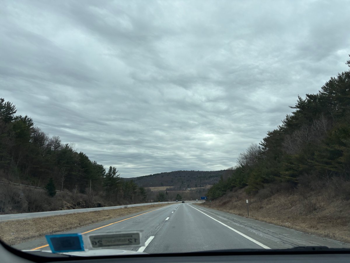 Dux Quack 🦆 tweet media