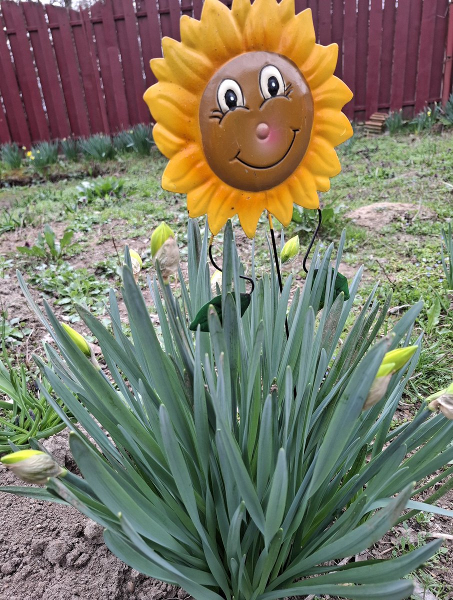 Tapardea Anca tweet media