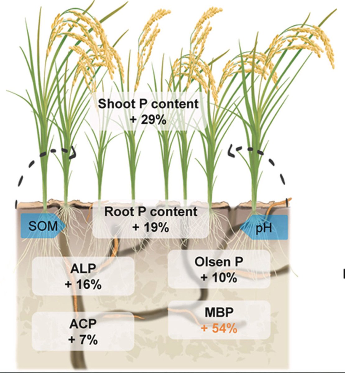 Martin Oesterheld tweet media