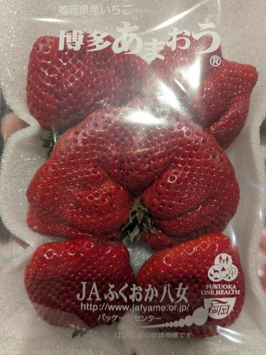 チャラージュ tweet media