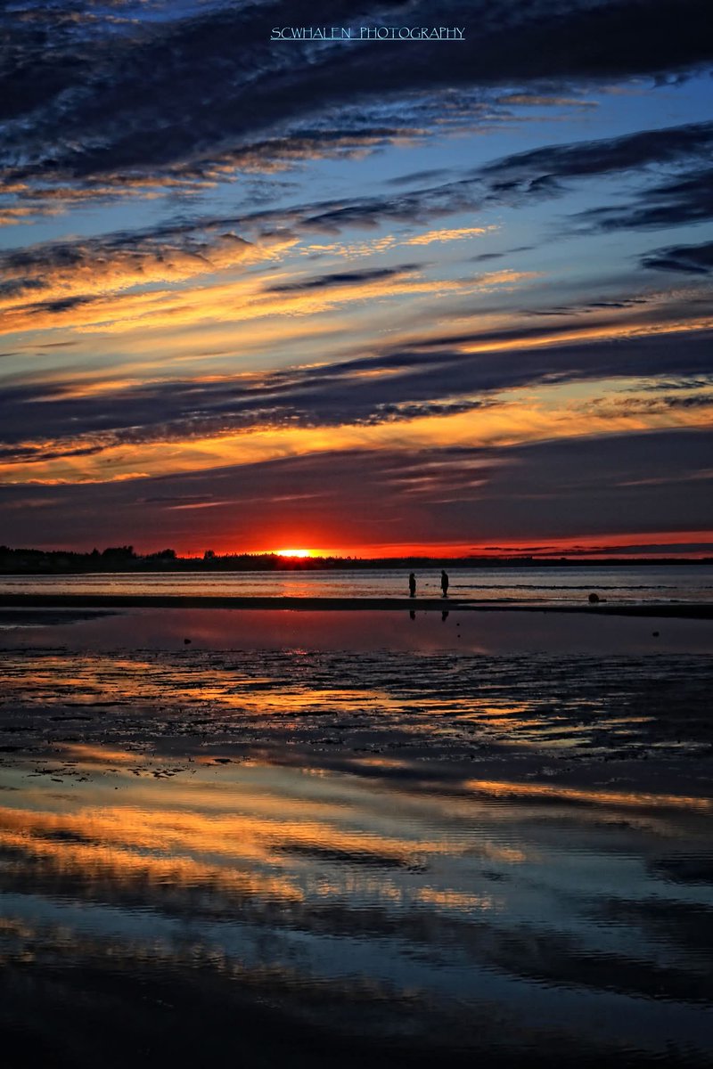 David W Pippy tweet media