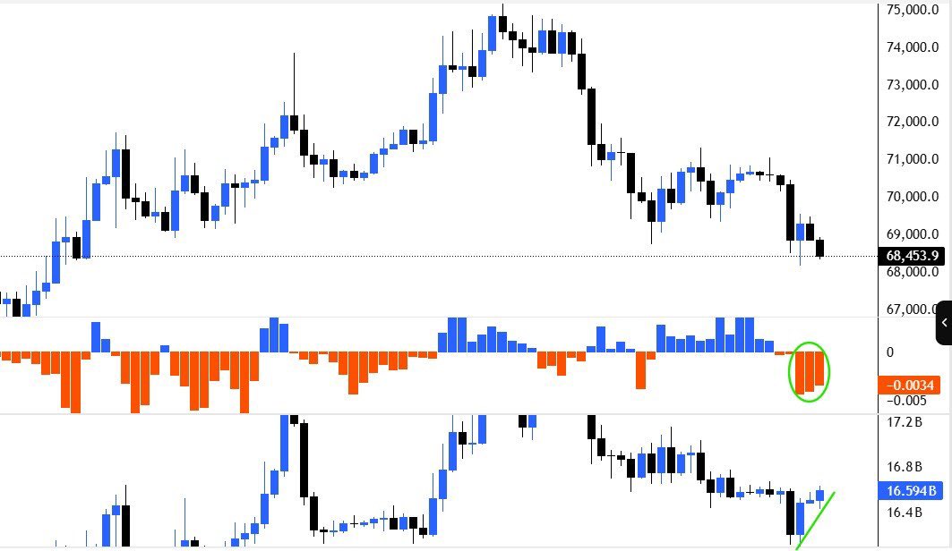 TNDK 🪴 tweet media