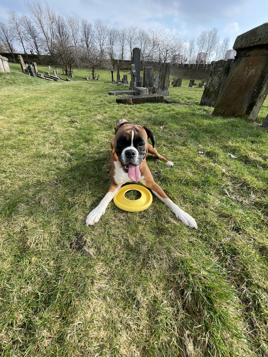 Tracey🍀💚 tweet media