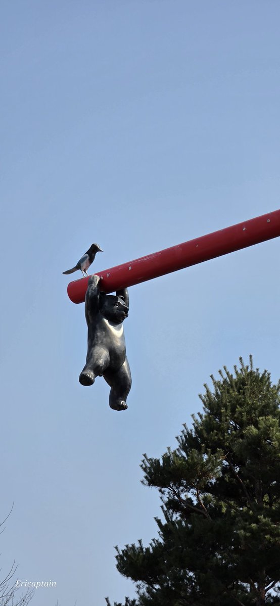 Ericaptain tweet media