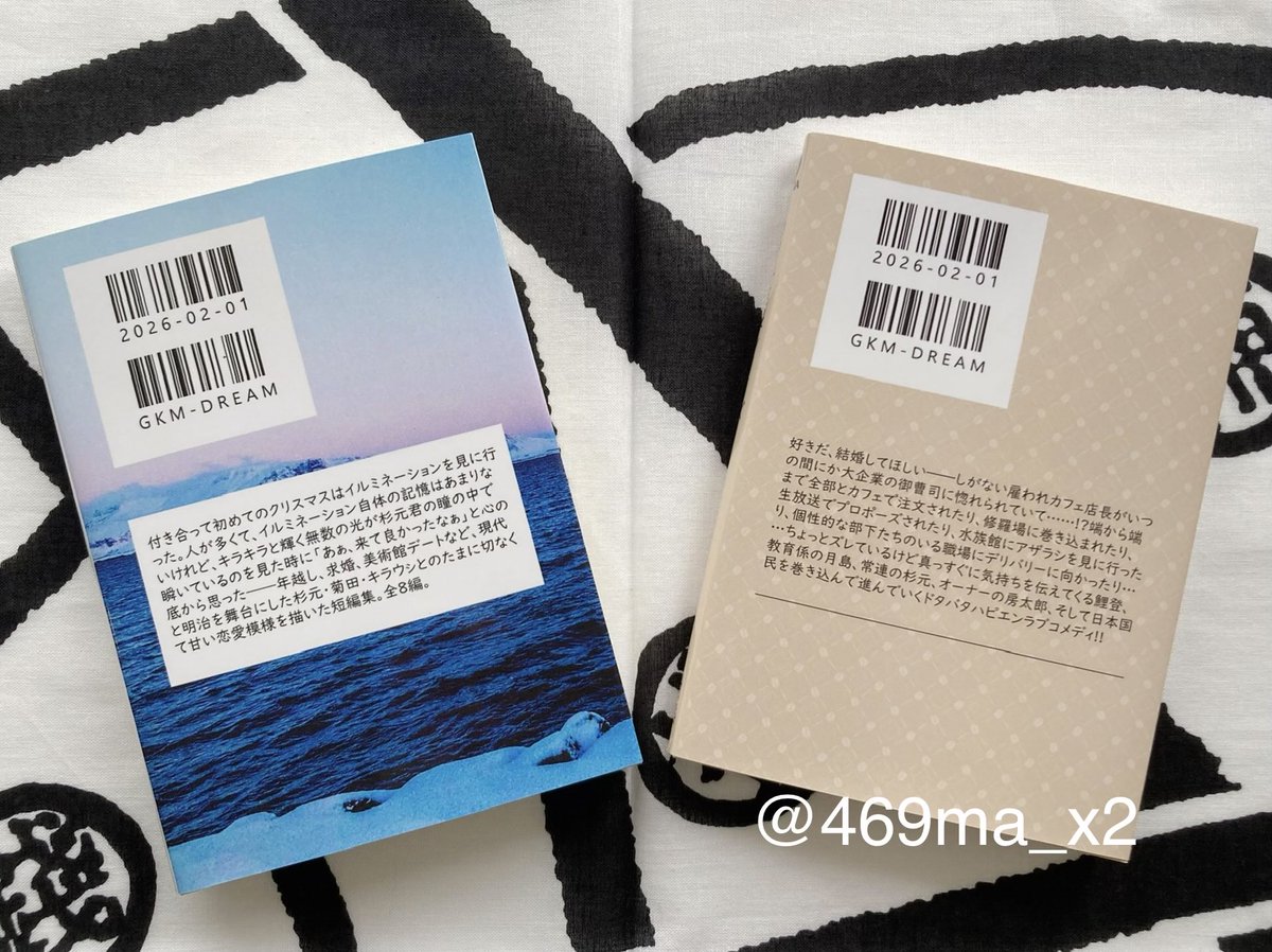 2/1銀世界で頒布したkit中編（画像2,3枚目右）が残り1冊となりました！今後折を見て予備分を2冊ほど追加する予定ですが、再販予定はないので気になっている方はお早めにどうぞ！sgmt/kkt/krus短編集(R)はまだ余裕あります🫶

どちらも本棚で擬態が出来る装丁です。

469ma.booth.pm