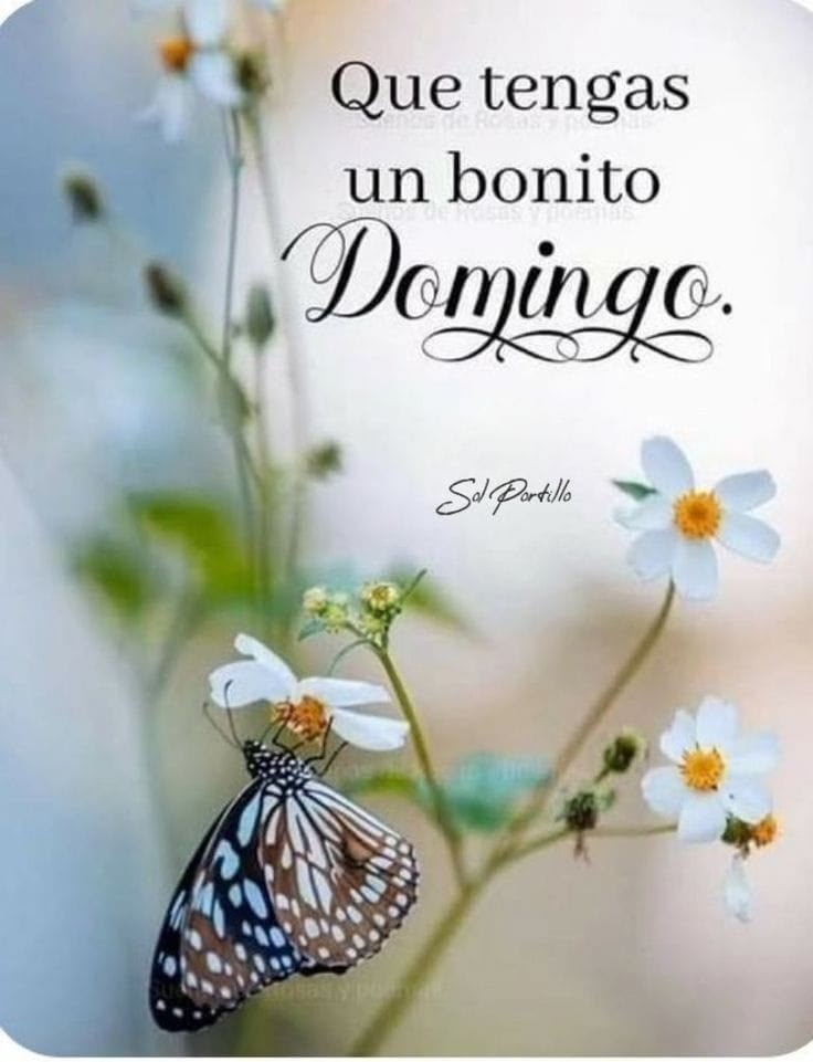 ❀○∘˚👑˳°○ Dita 💙❀ tweet media