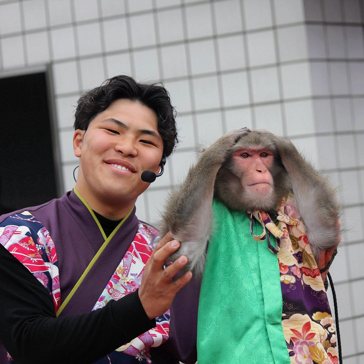 musyoh's tweet image. 姫路大手前公園で1年１ヶ月ぶりに　猿天下(えんてんか)🧡（タオ🐵＆小林 駿👨）が見れました😊タオ🐵君は元気いっぱいで鳩を捕まえようとしてました😆　#monkey #猿まわし #神戸モンキーズ