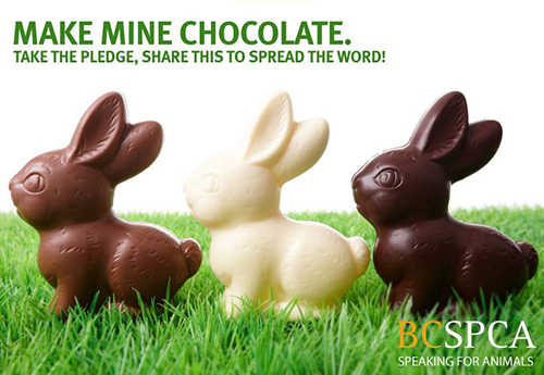 Elton Evans tweet media