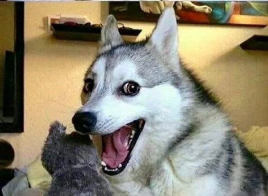 Narodowy Front Krzewienia Cnót i Zapobiegania Złu tweet media