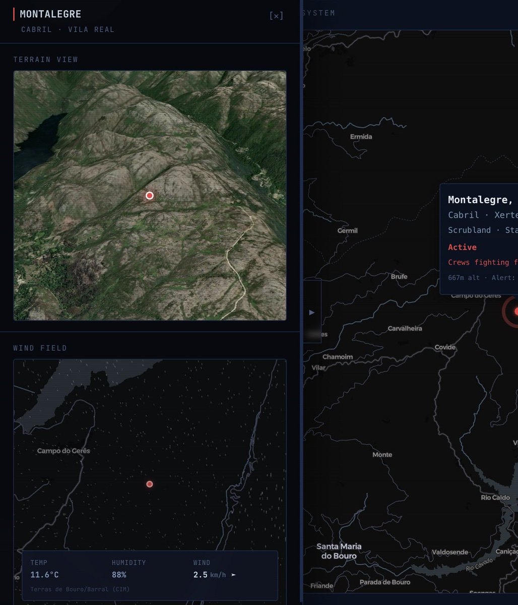 British Tuga tweet media