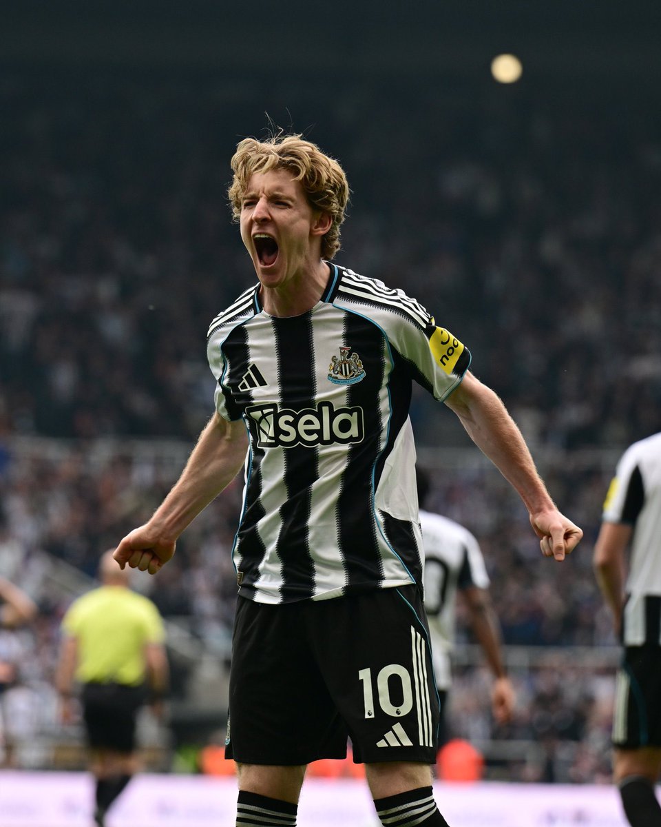 محٍيد tweet media