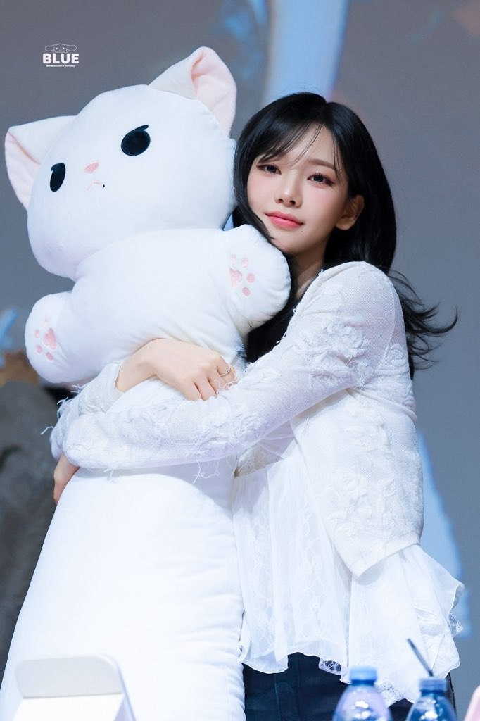 𝐒era! tweet media