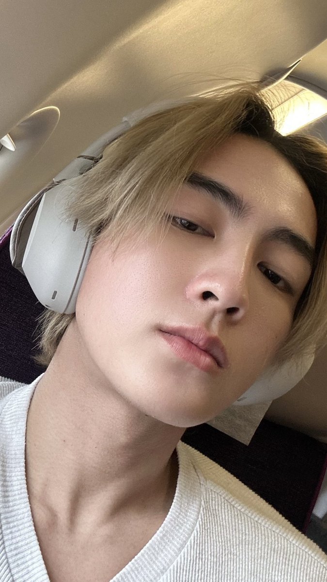 🍀พืช :P tweet media