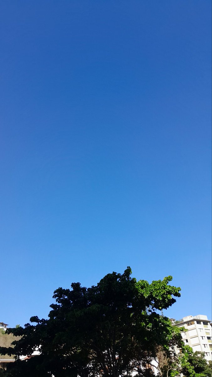 Teresa 🌻💋🤗💞😉🙏 tweet media