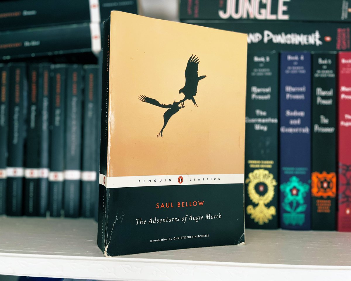 Adam P. Coulter tweet media