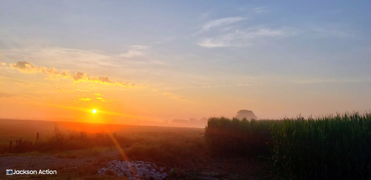 Jackson Action 📷 tweet media