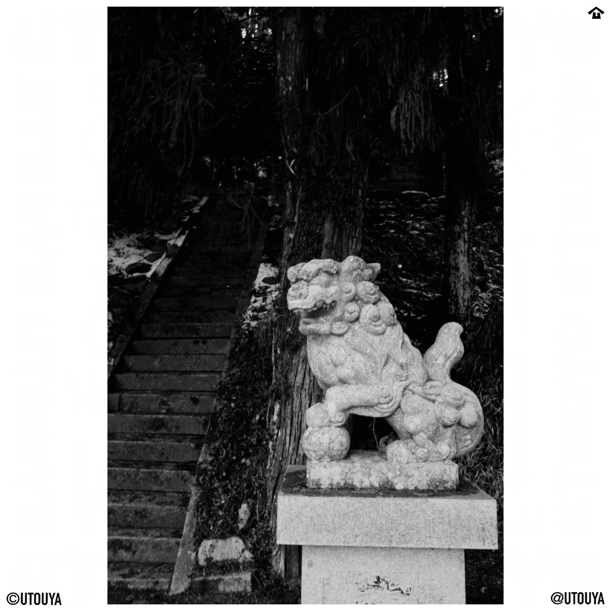 utouya's tweet image. 2015 #ricoh #gr2