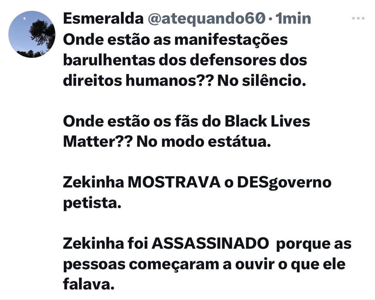 Esmeralda tweet media