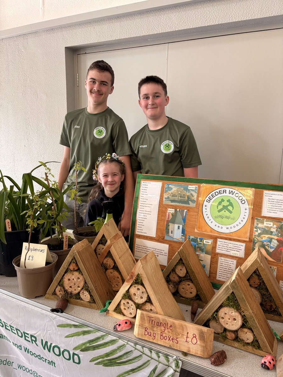 Seeder Wood tweet media