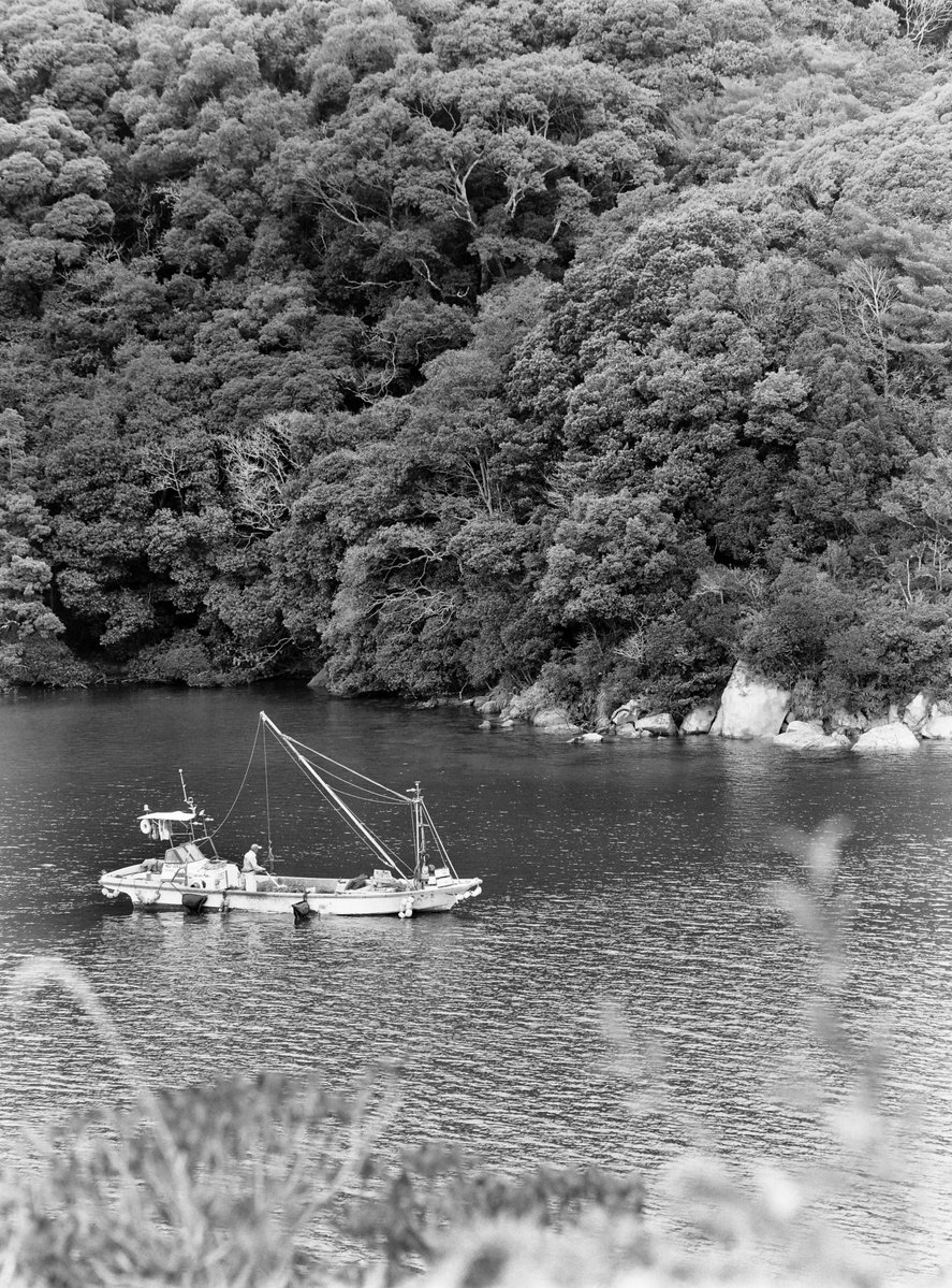 VØNPhoto tweet media