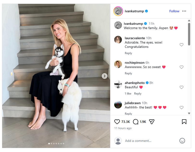 aspentrump's tweet photo. A new husky has joined the Trump family

Now awaiting the blockchain... 

$ASPEN https://t.co/4lpiEPR71p