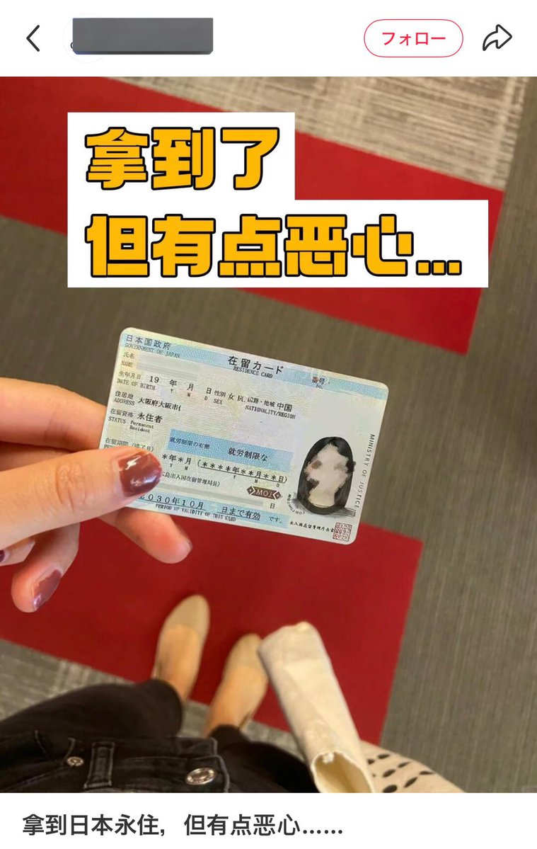 のらいぬ tweet media