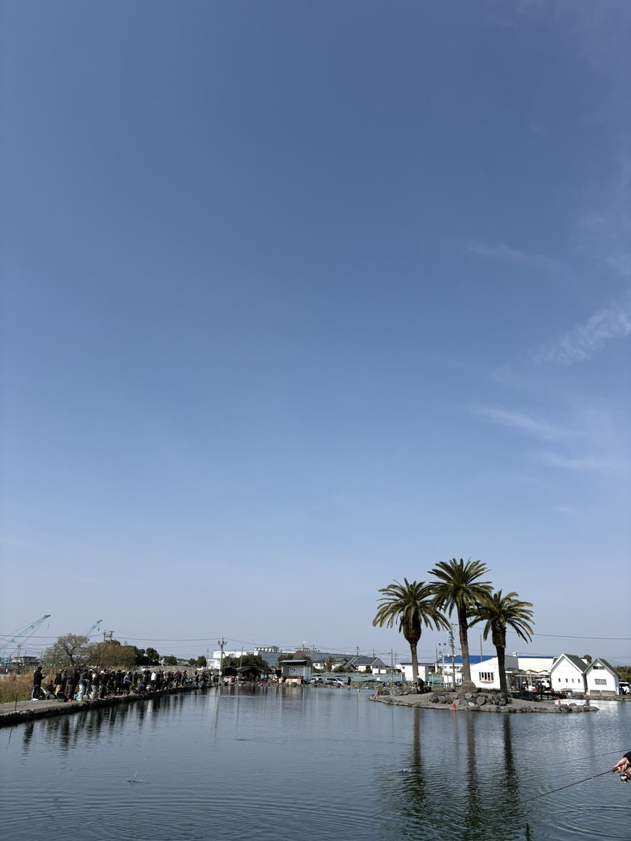 ama_taka（あまたか） tweet media